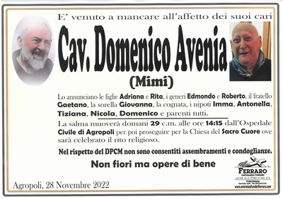 Domenico Avenia