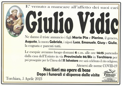Giulio Vidic