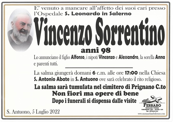 Vincenzo sorrentino